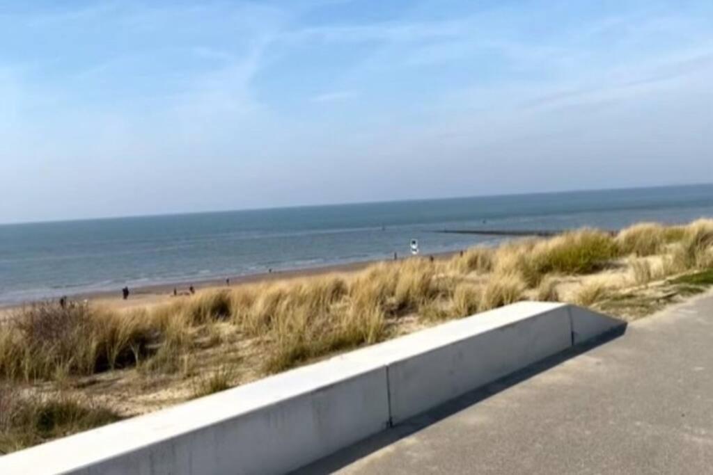 Kleines Haeuschen In Cadzand-Bad Exterior photo